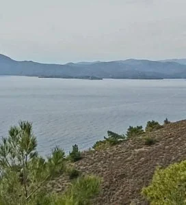 Screenshot_20221106-175427_Gallery
