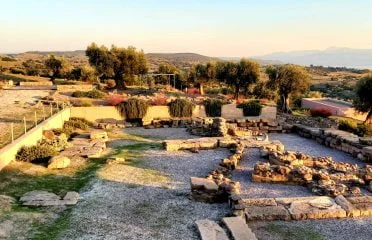 Agia Paraskevi (87)