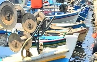 DE Kallonis (588)