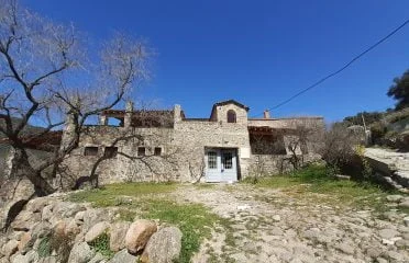 DE Kallonis (9)