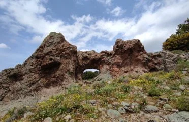 Hiking Petri area (1)