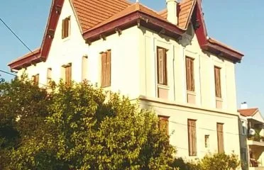 MUNICIPAL SECTOR MITILINI_ARHONTIKA SPITIA (13)