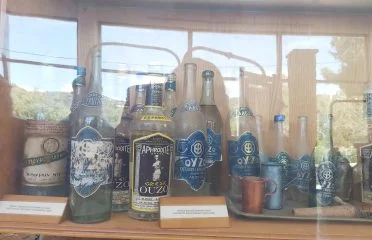 PLOMARI Municipal Unit (98)