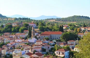 POLICHNITOS_THEODOROS VALSAMIDES (5)