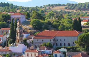 POLICHNITOS_THEODOROS VALSAMIDES (6)