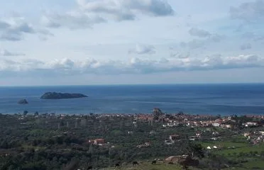 Petri_AVati (5)