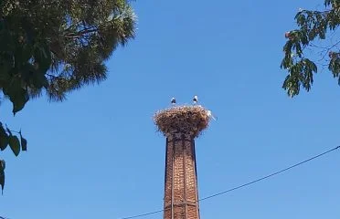 Polichnitos (8)