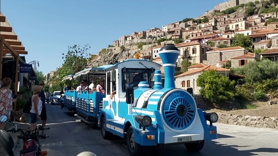 Village Train