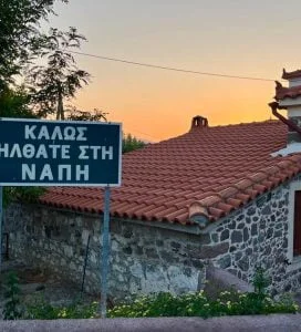 NAPI (17)